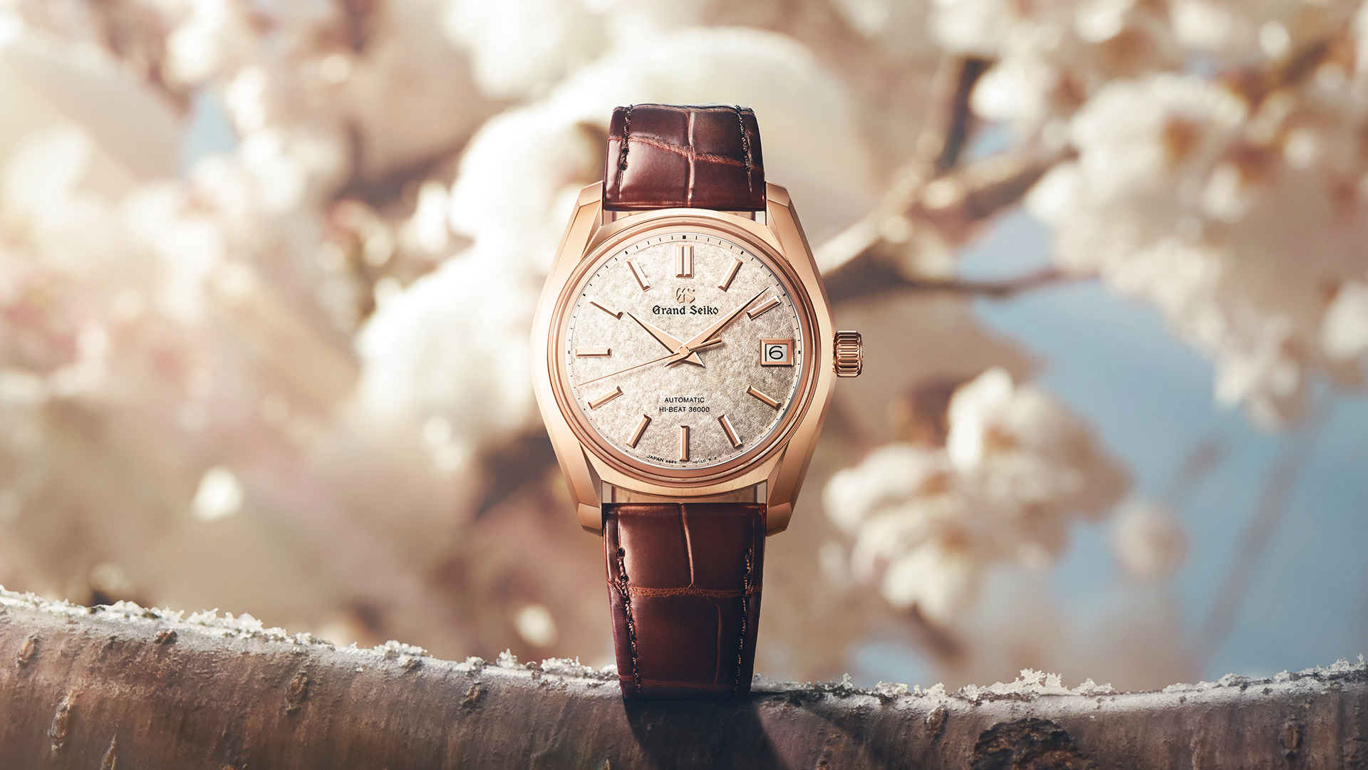 さくら Grand Seiko SBGH368 'Sakura Kakushi' - The Manual