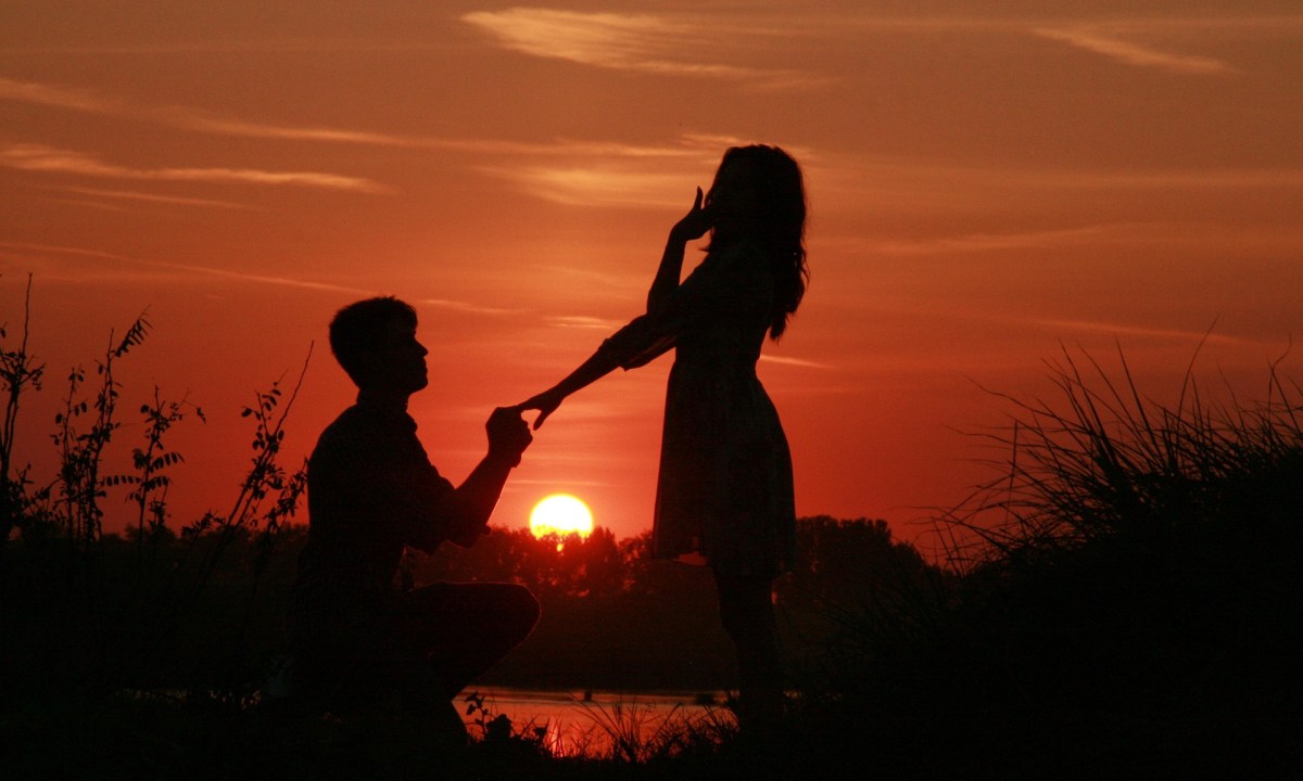 Proposal