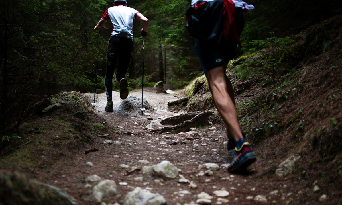 Group trail running through a rocky trail with pine trees.