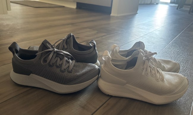 Allbirds Tree Gliders
