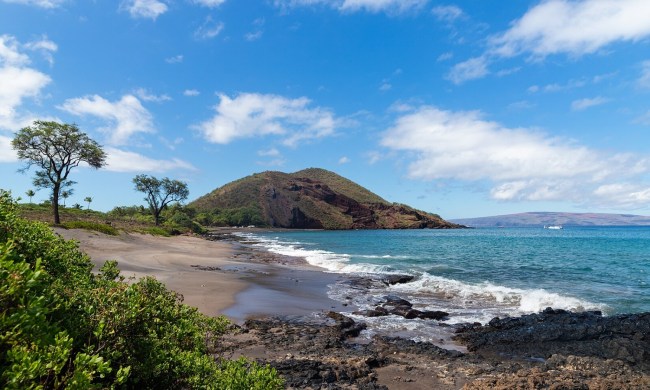 Maui