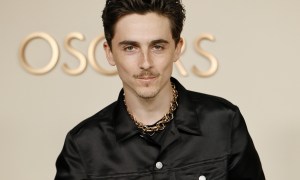 Timothee Chalamet bust