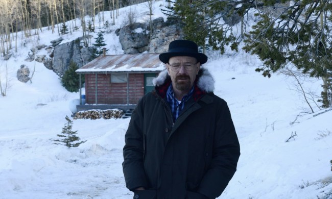 Bryan Cranston as Walter White in Breaking Bad season 5