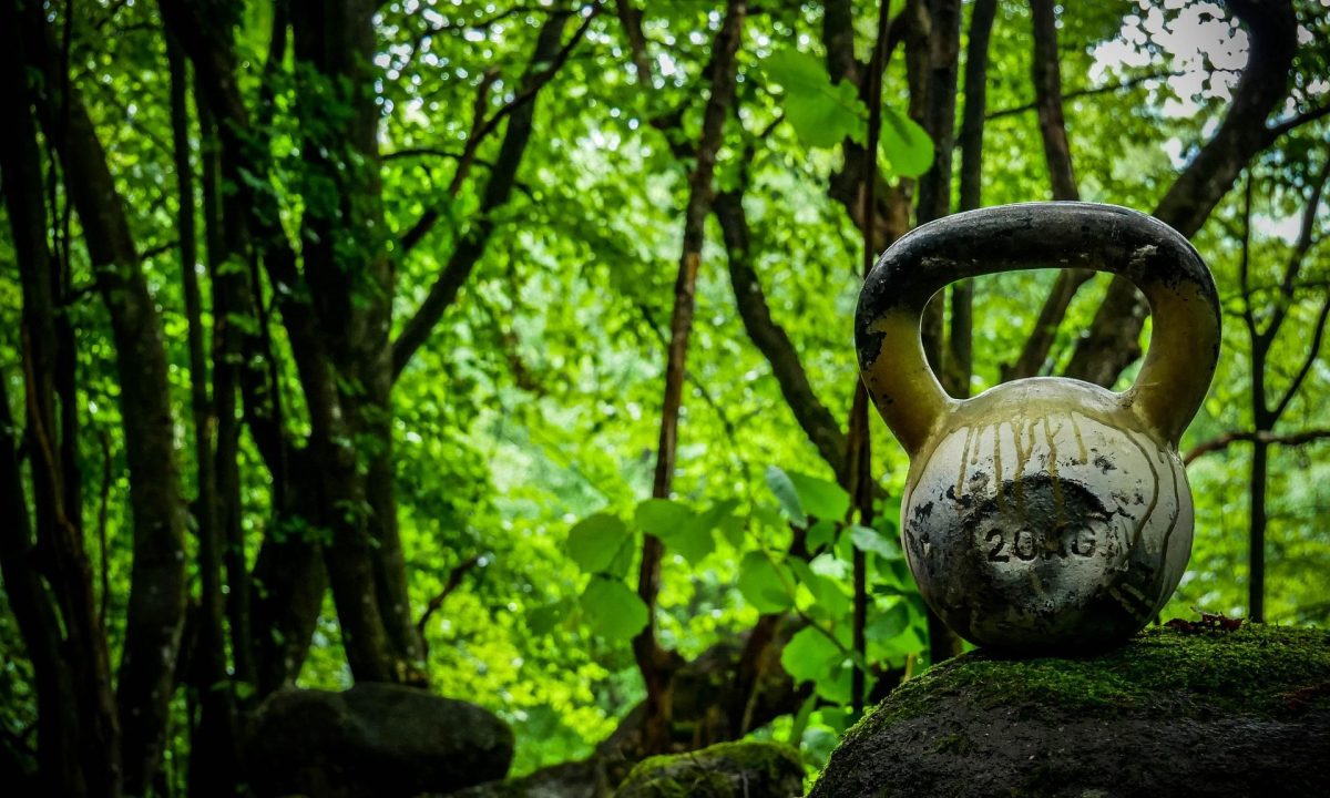 kettlebell in the forest