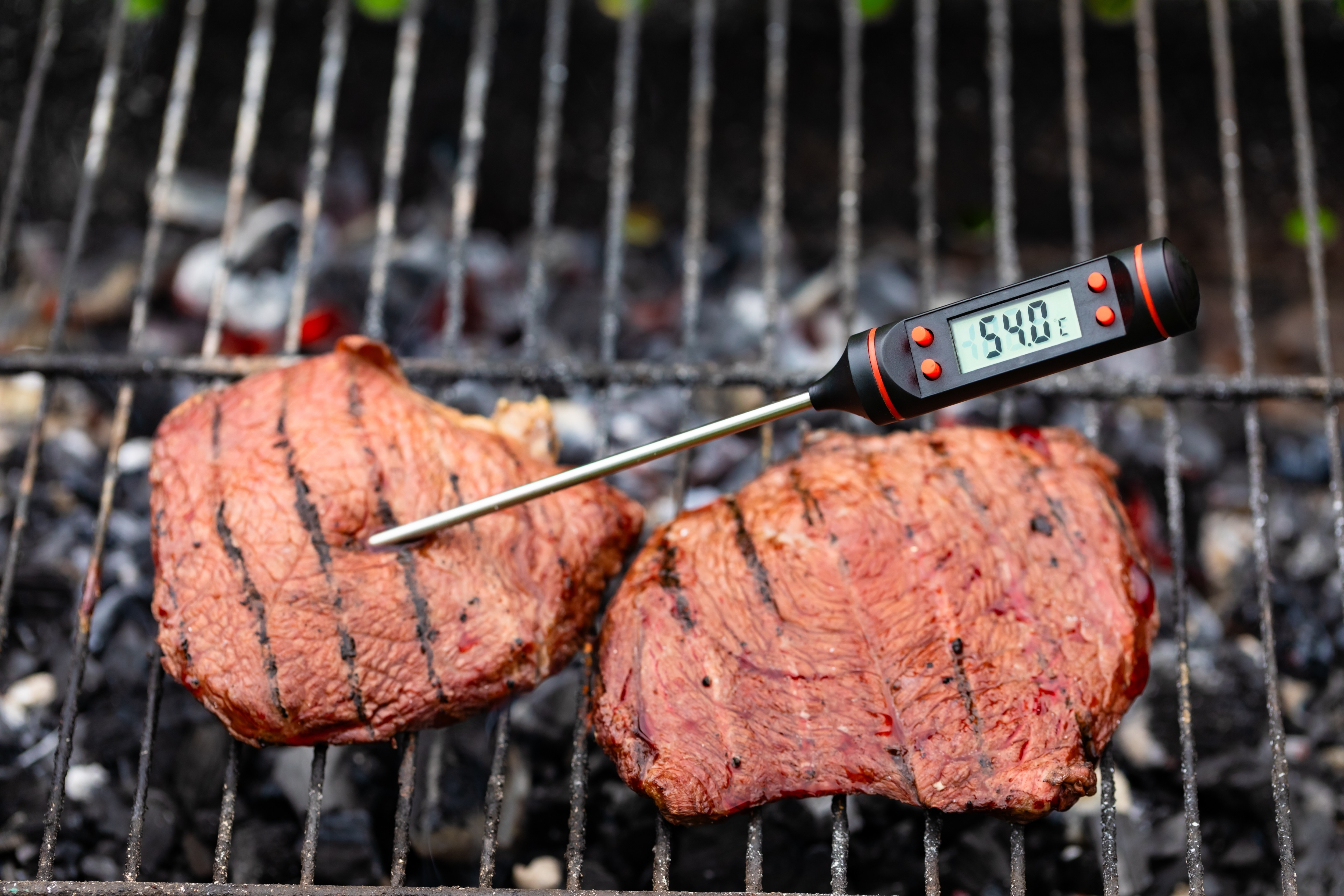Meat thermometer