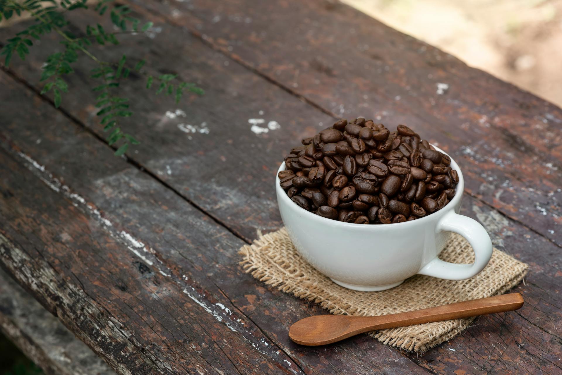 roasted coffee beans