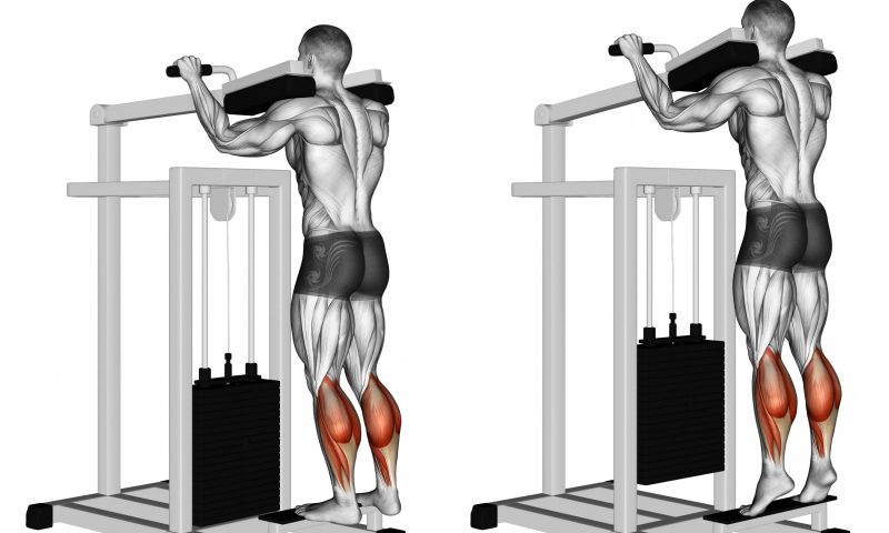 illustration man doing standing calf raise assisted with machine