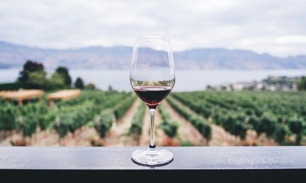 Wine and vineyard