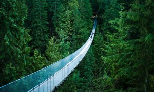 A pictur of the Capilano bridge surrounded by evergreens and empty