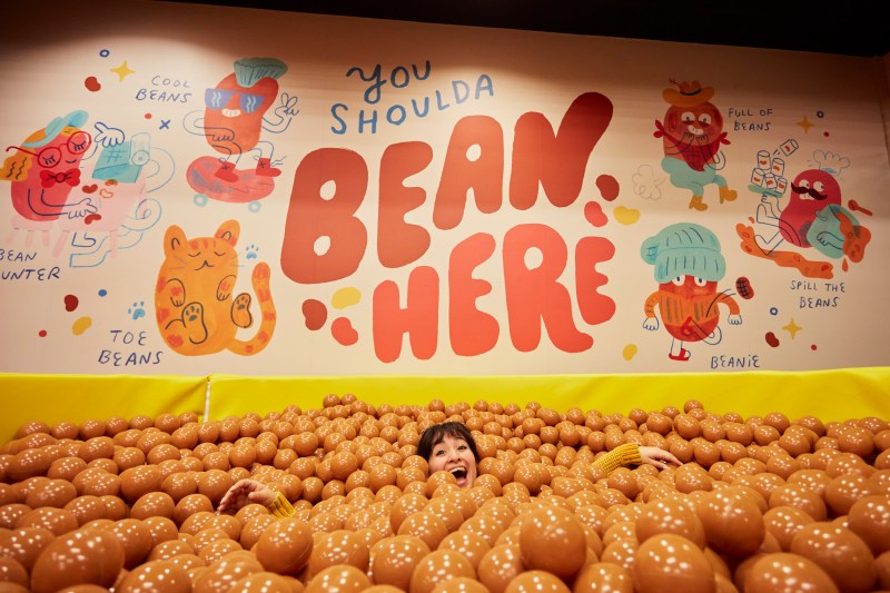 Museum of BBQ