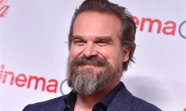 David Harbour poses
