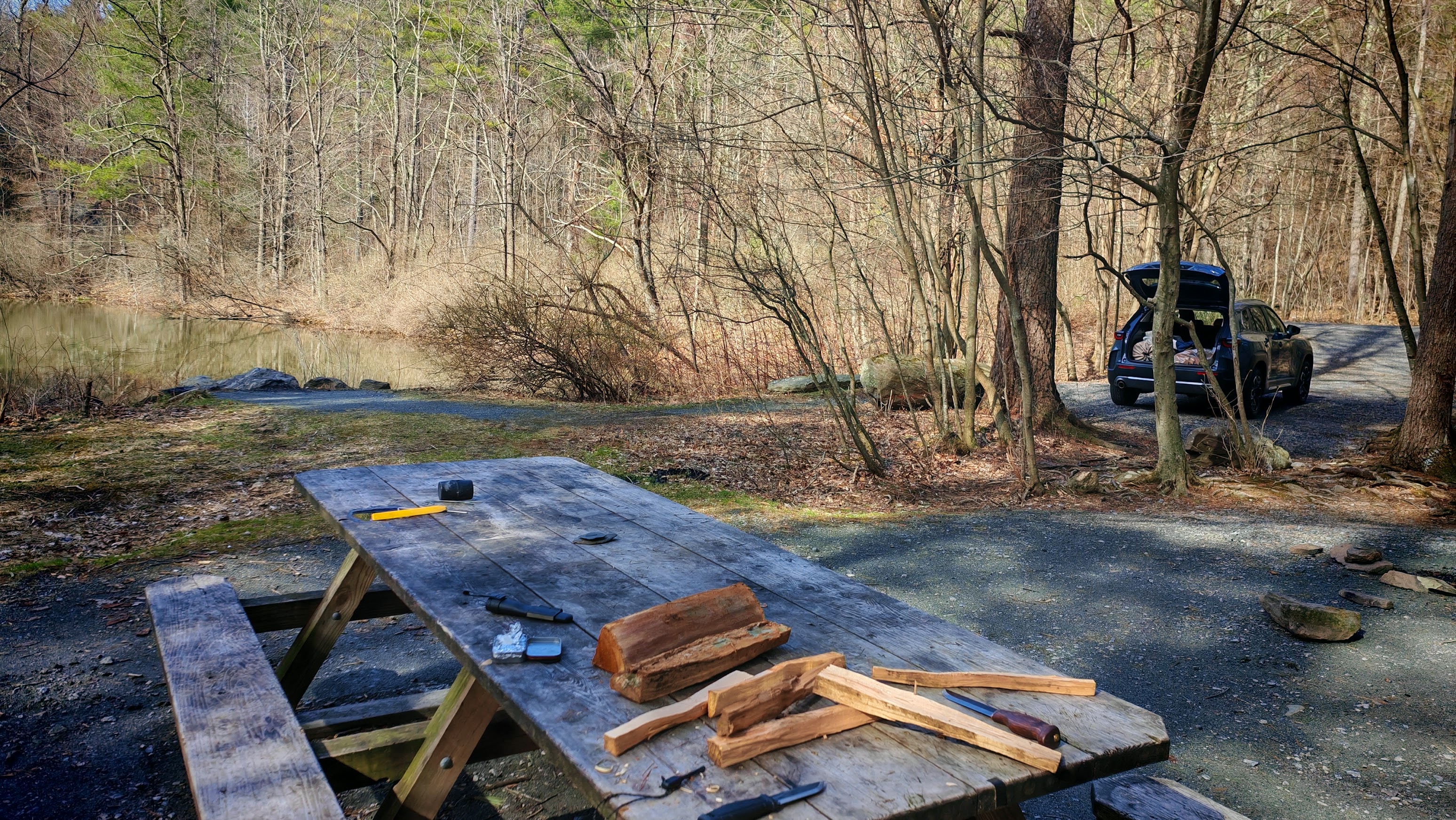 Firewood on a picnic table with a Mazda CX-50 in the background