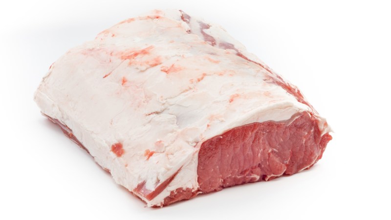 Tri tip steak raw