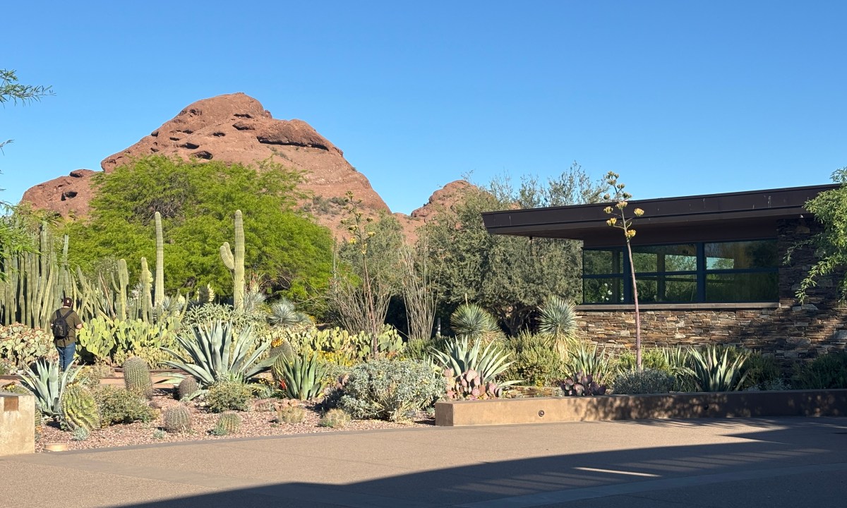 Desert Botanical Garden