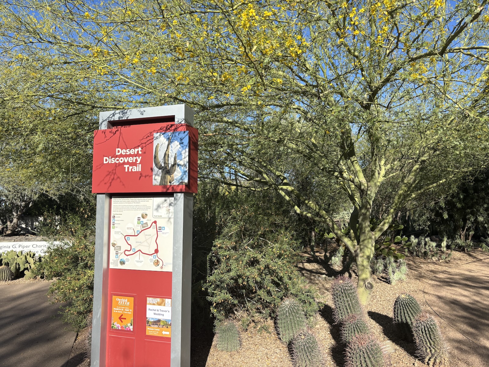 Desert Botanical Garden
