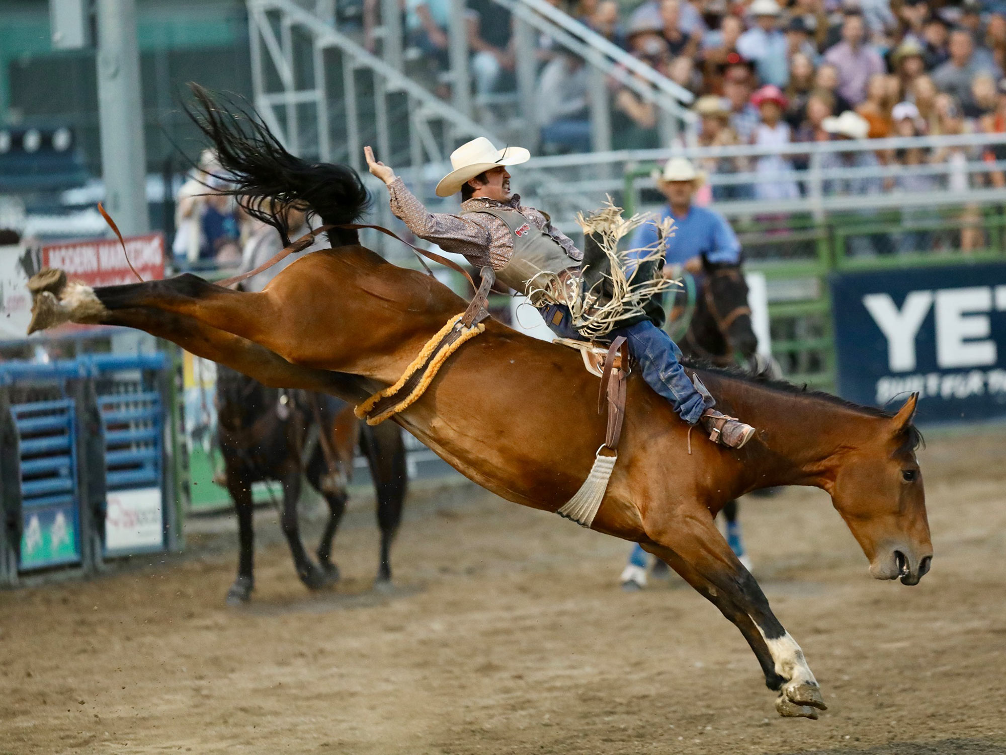 Jackson Rodeo Portrait Jackson Hole travel guide: Where to stay, eat, and more - The Manual