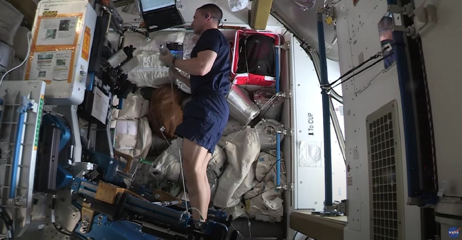 NASA astronaut doing cable bicep curl