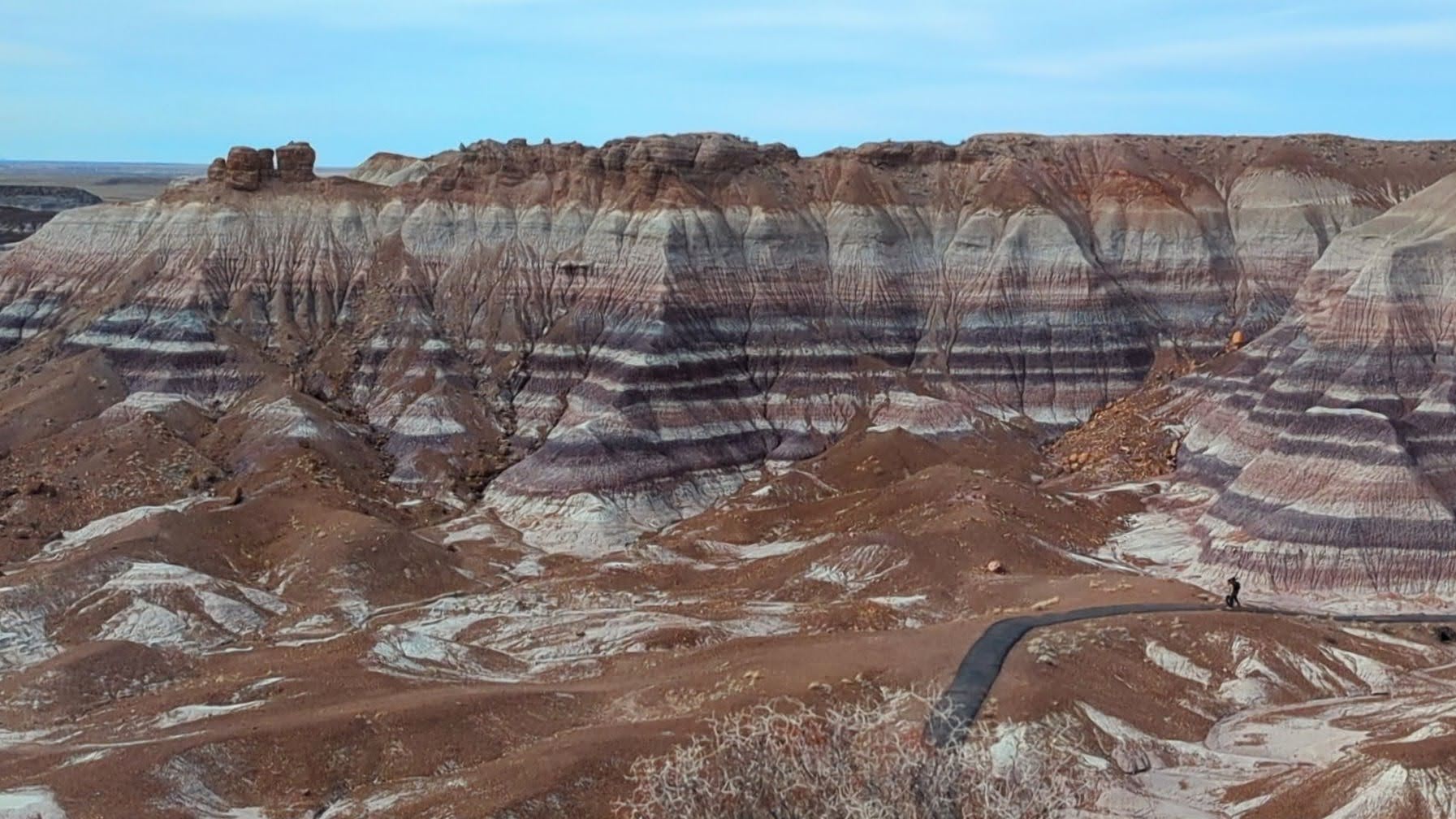 Multicolored striped badlands at Blue Mesa with a winding paved trail below, showcasing the area’s signature purple and white bands.