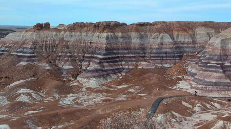 Multicolored striped badlands at Blue Mesa with a winding paved trail below, showcasing the area’s signature purple and white bands.
