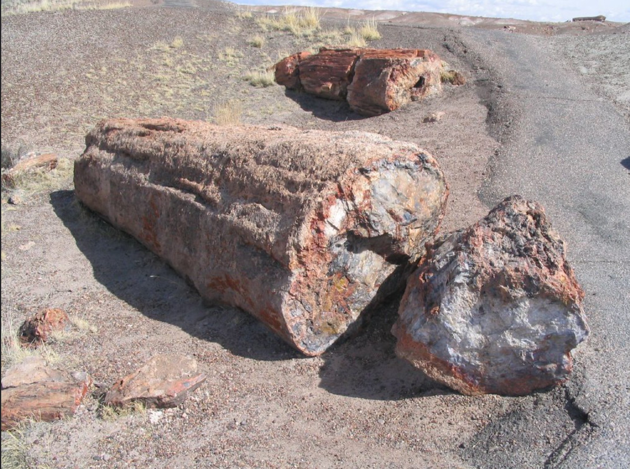 A petrified log of wood over 2 million years old in the Petrified Forest