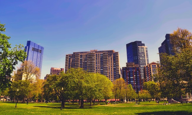 Boston