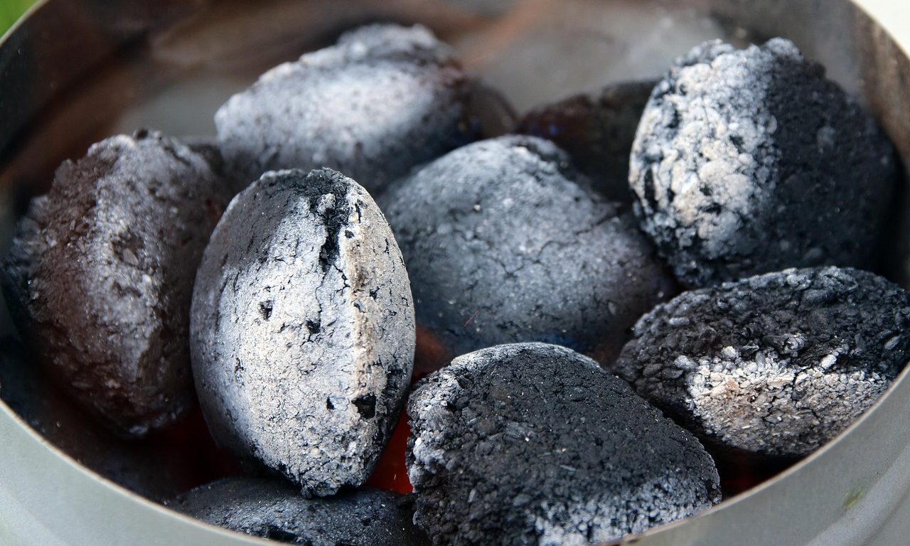 charcoal for the grill