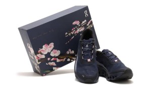 pair of atmos x on sneakers with shoe box
