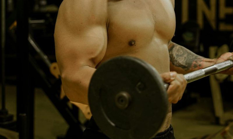 man lifting weights barbell bicep curl