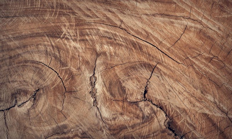 wood
