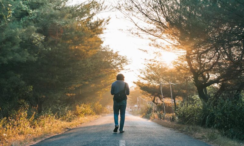 Man walking through sunlit trees