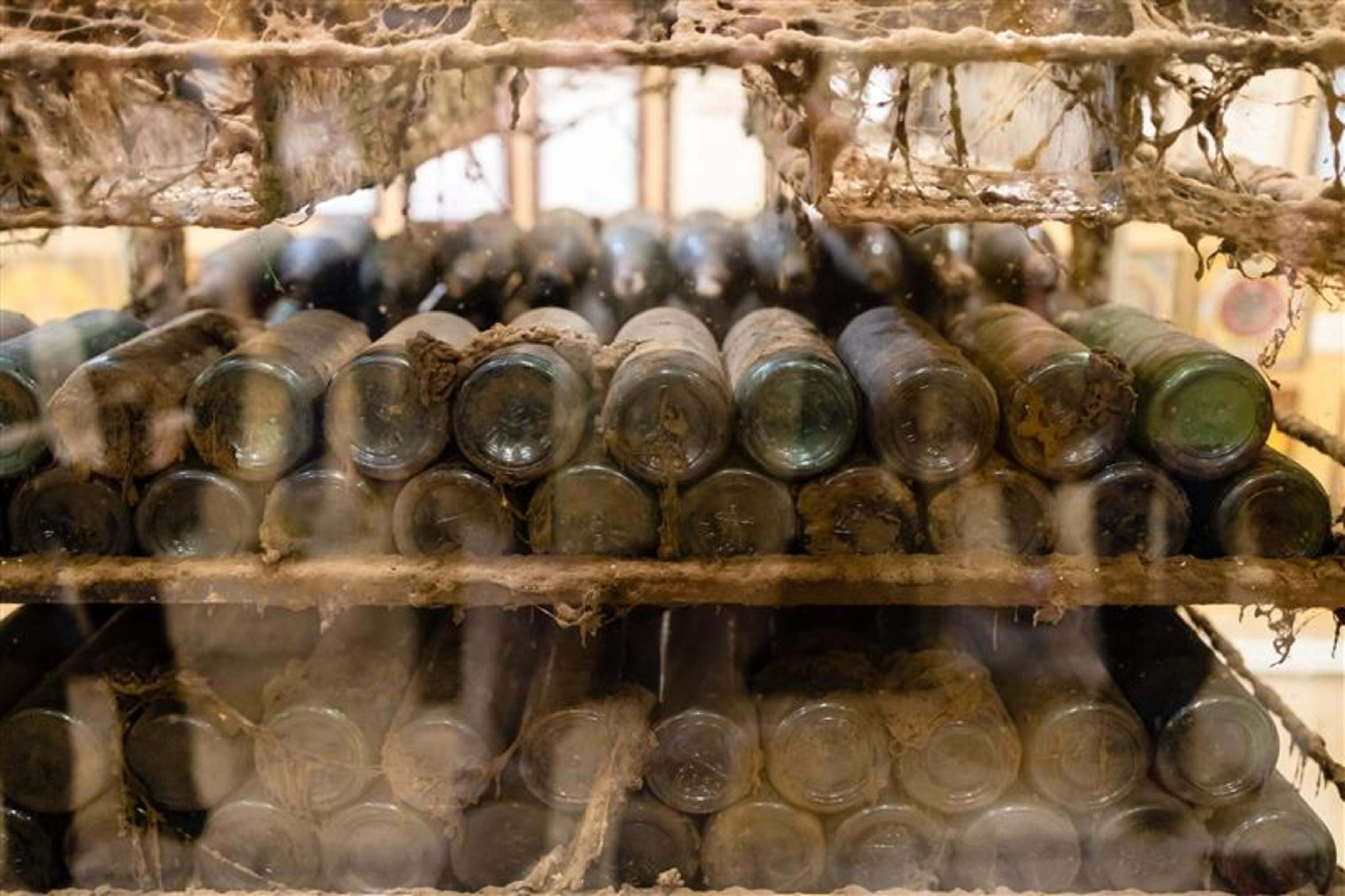 A rack of cobwebby old bottles of madeira wine.
