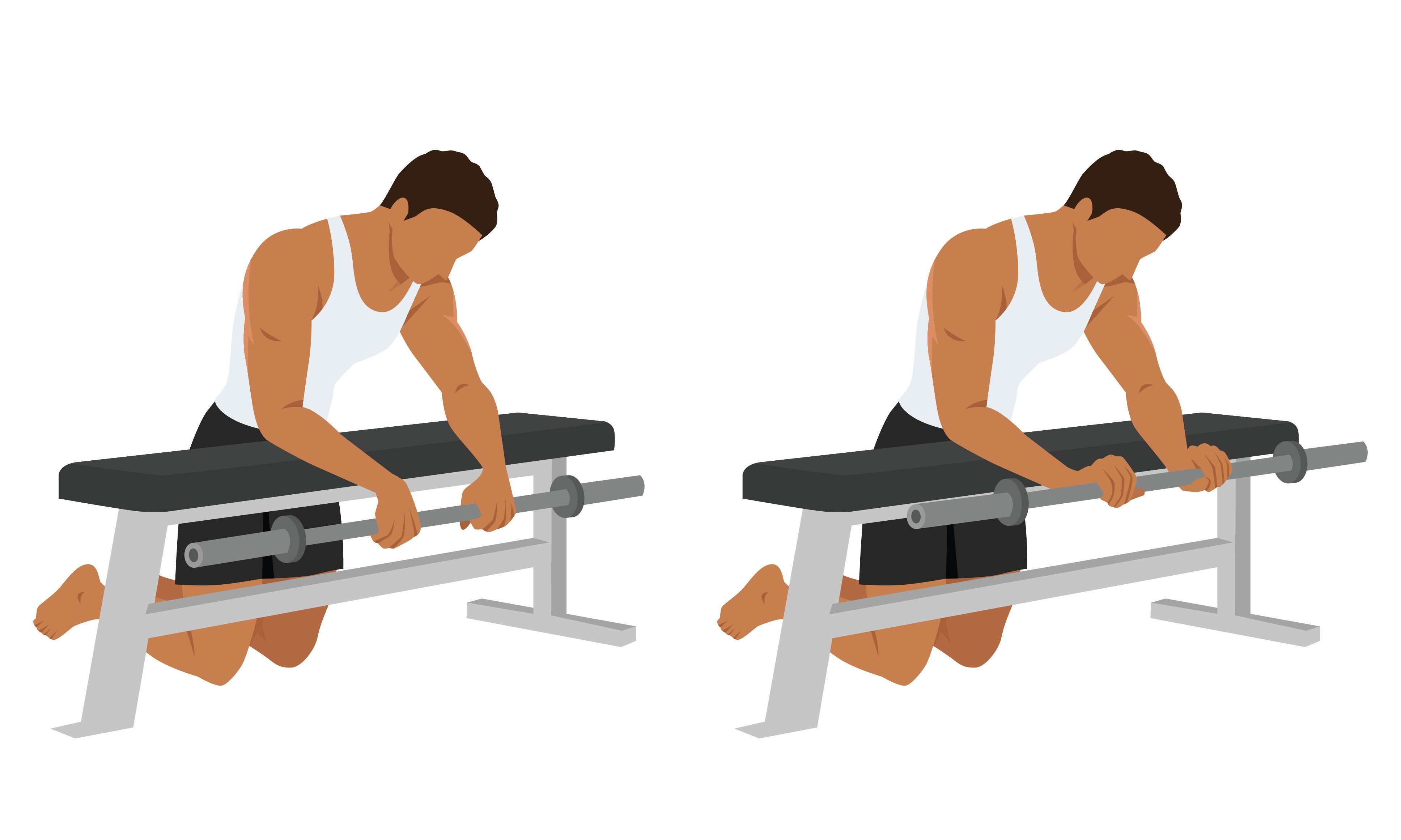 forearm wrist curl