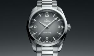 Omega railmaster