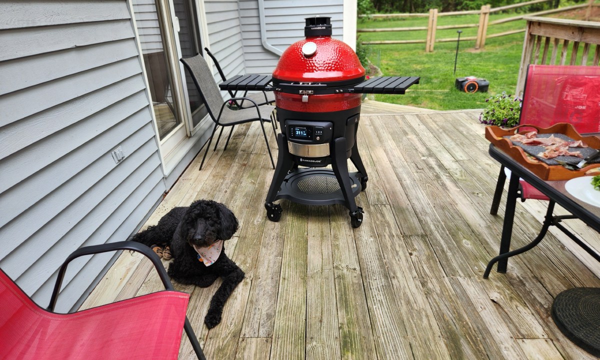 Pre-heating the Kamado Joe Konnected Joe guarded by with Happy.