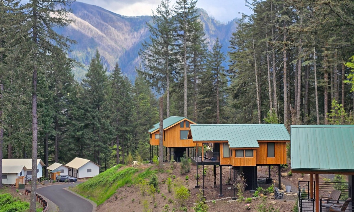 Skamania treehouse picture from another unit with mountains and trees