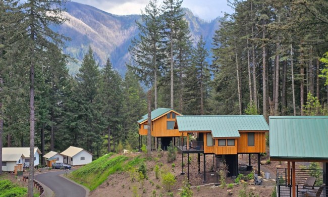 Skamania treehouse picture from another unit with mountains and trees