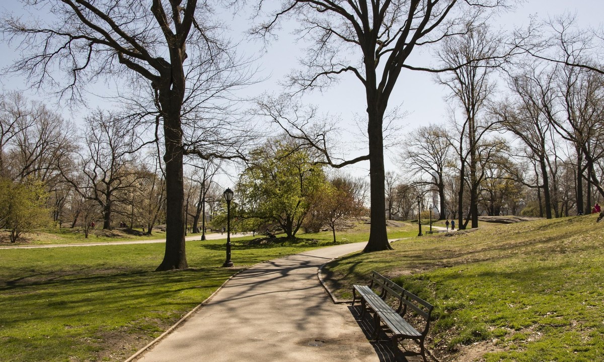 Central Park