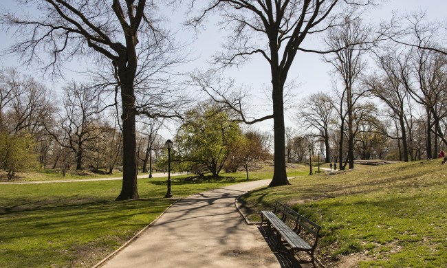 Central Park