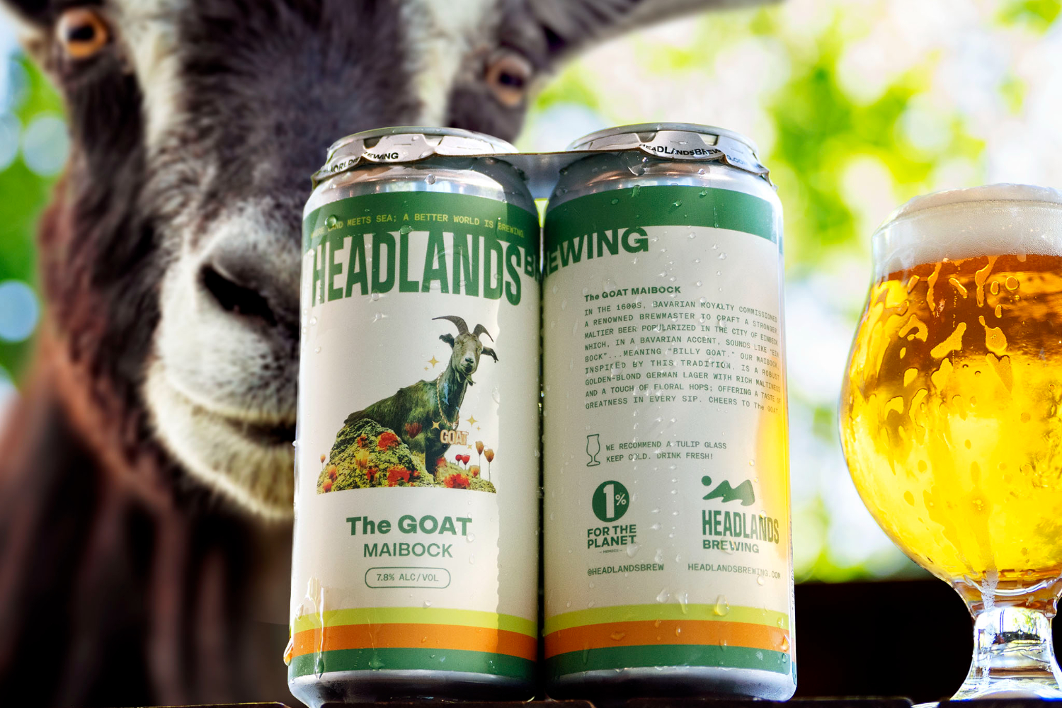 Headlands GOAT Maibock.