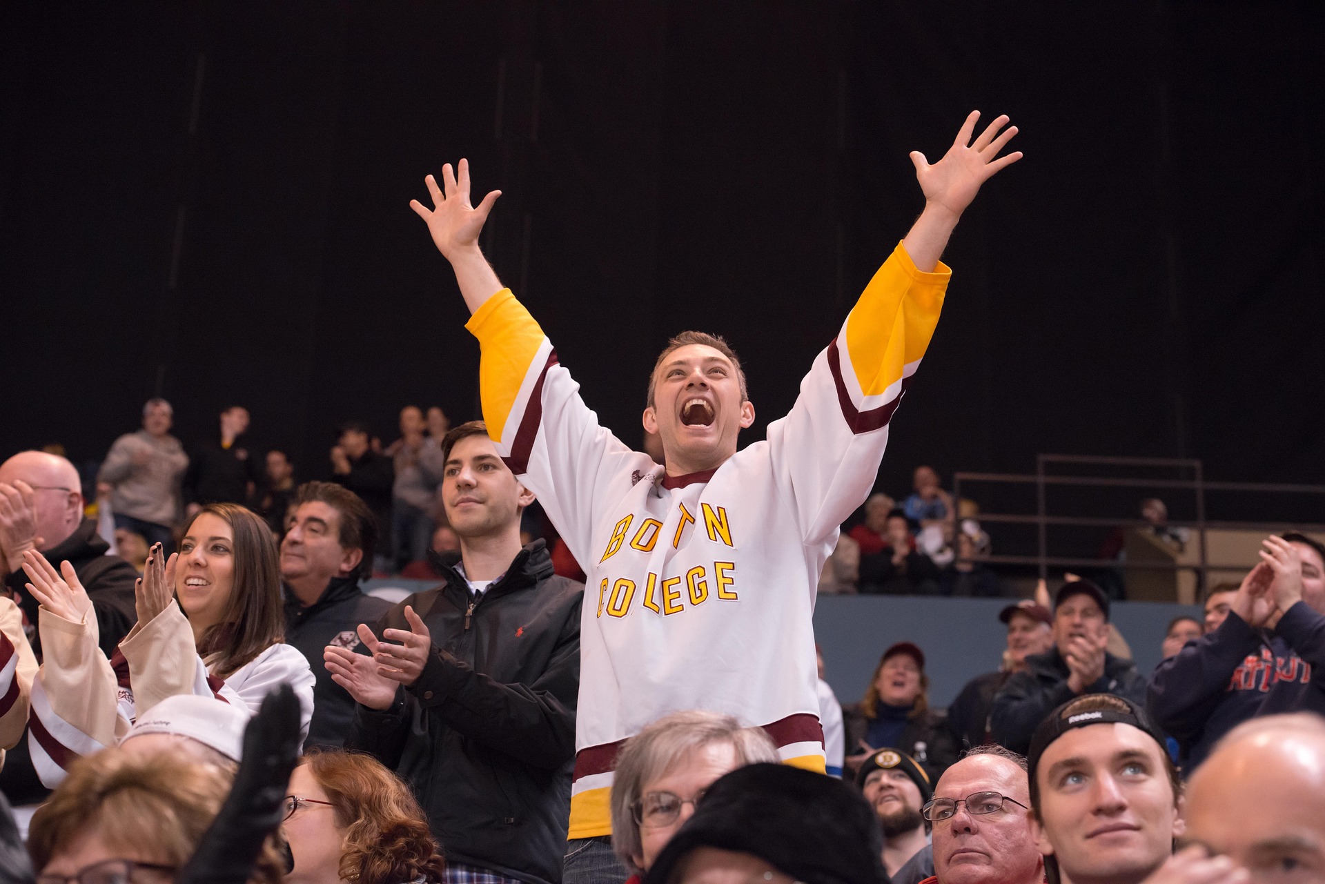 Hockey fan