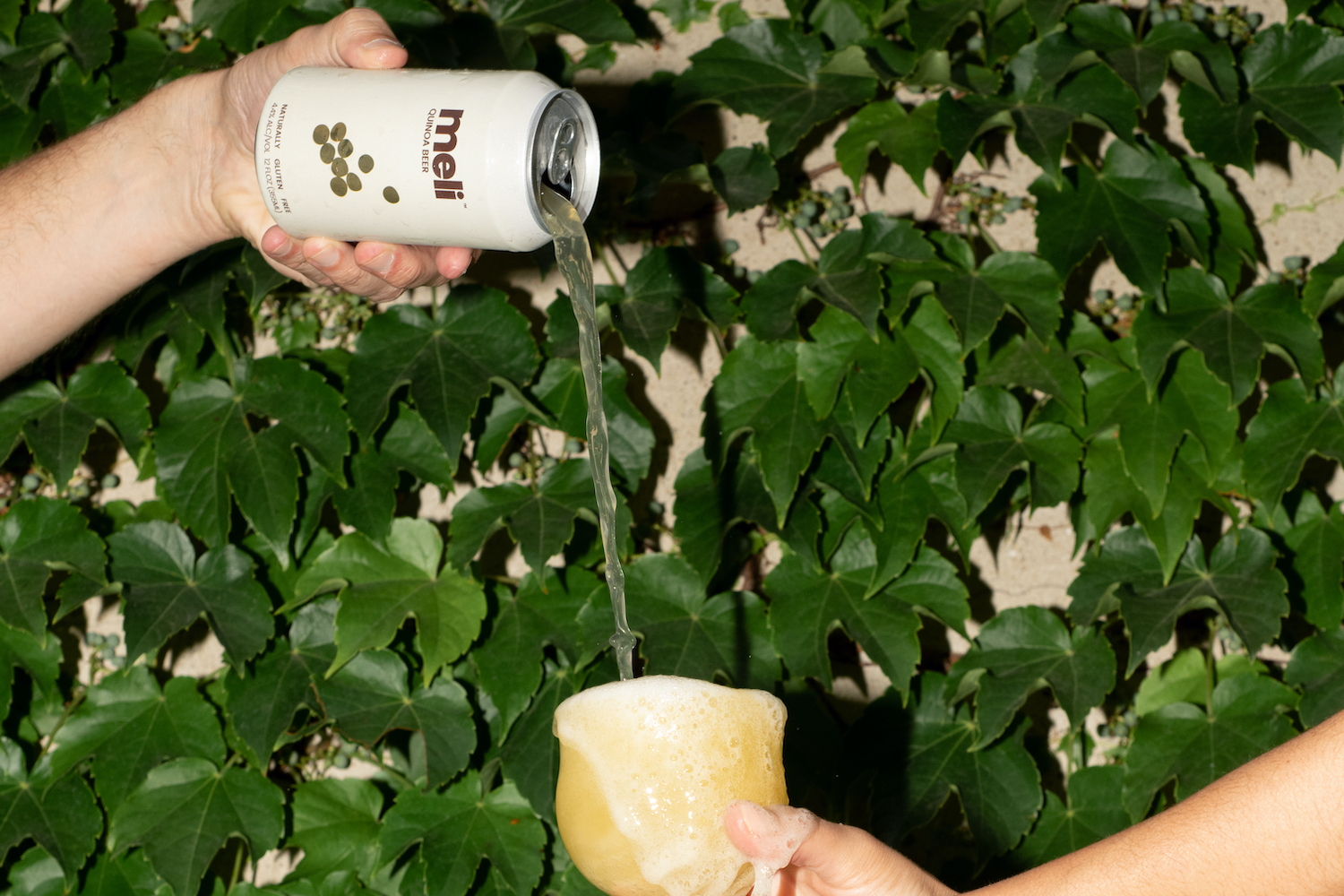 Meli beer pour.
