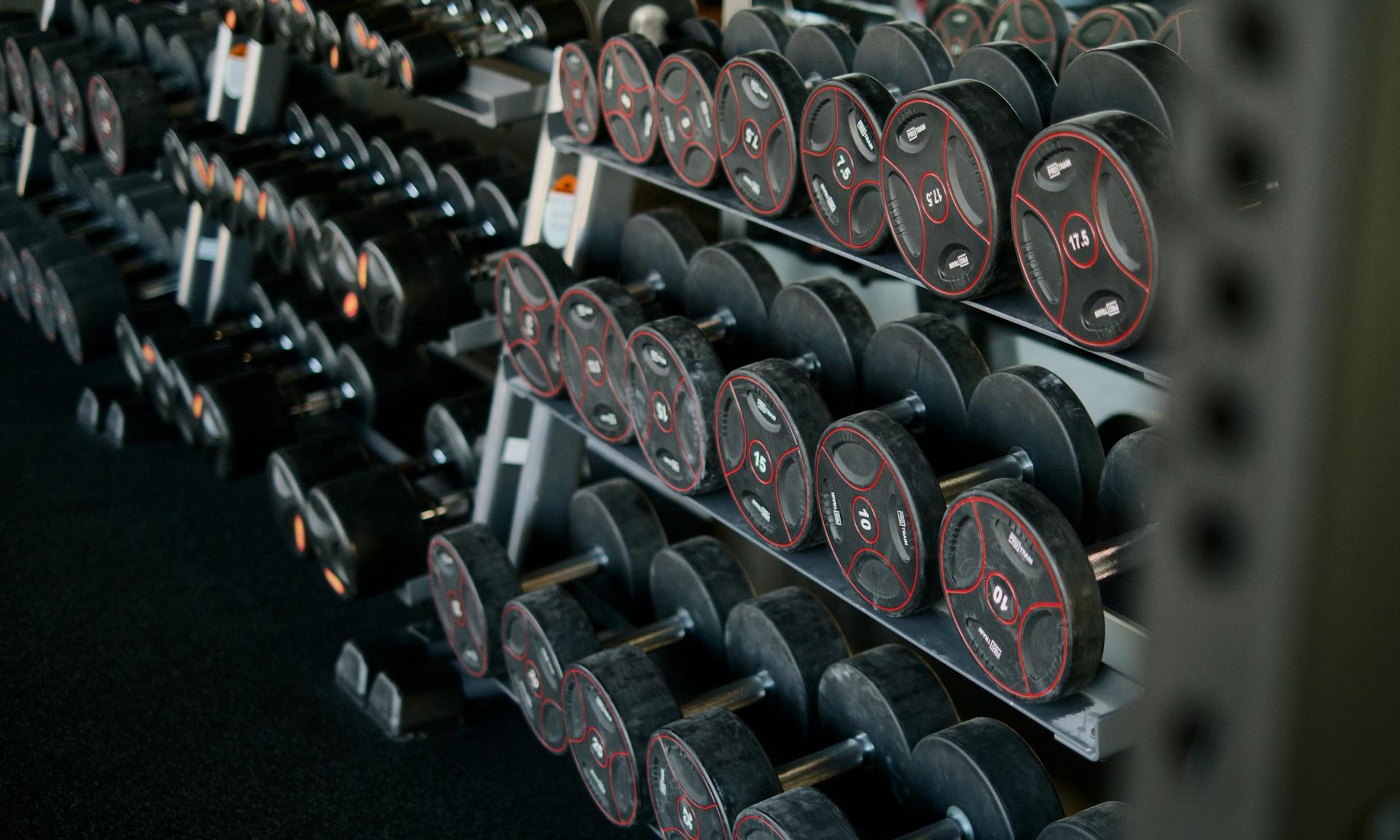 row of dumbbells