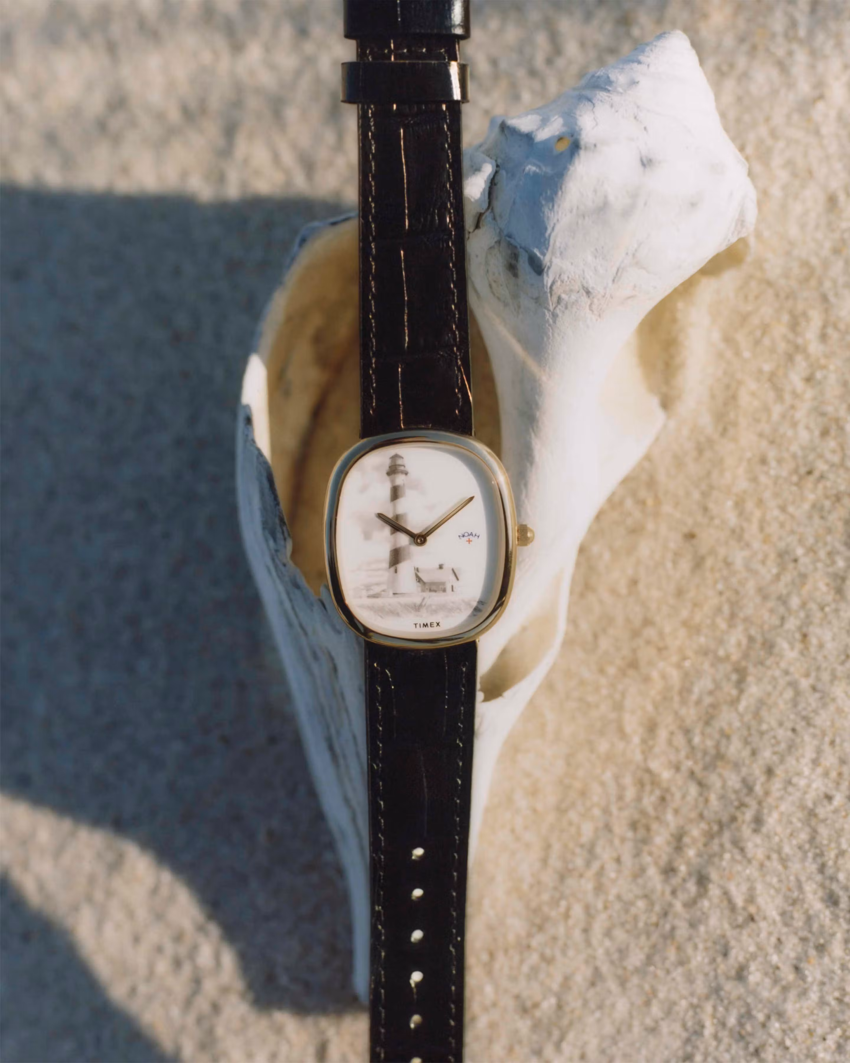 Noah x timex collab