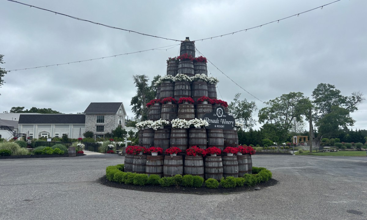 Renault Winery