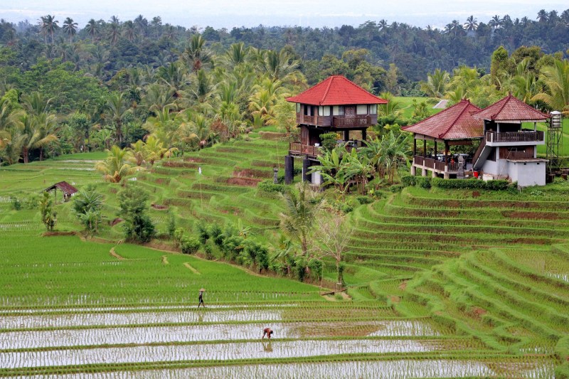 Bali