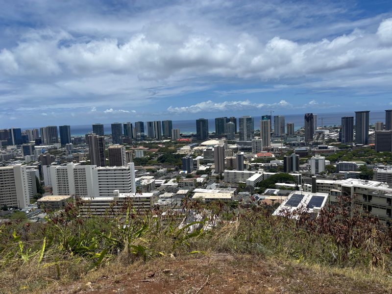 City Hawaii