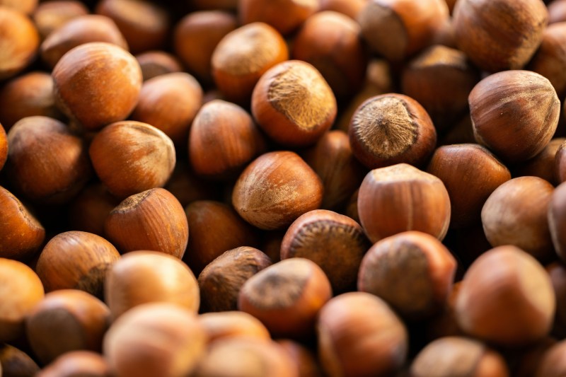 hazelnuts