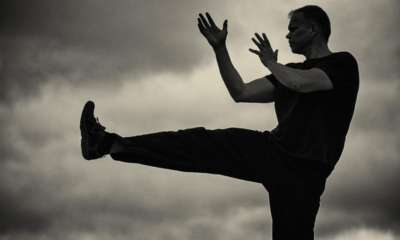 martial arts qigong