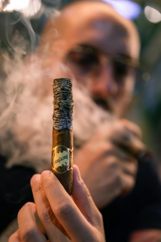 a hand holding a cigar with built-up ash