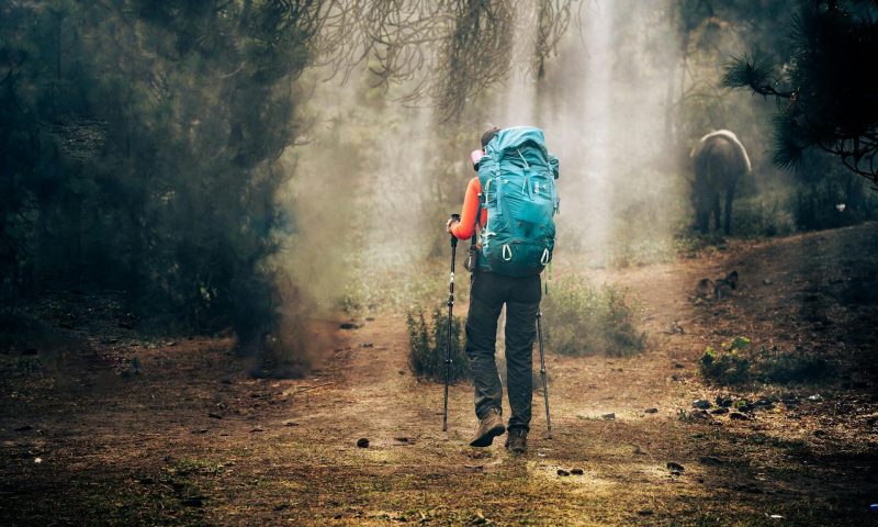 man with hiking poles nordic walking